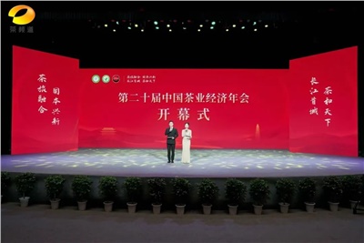 【聚焦第二十屆中國茶業(yè)經(jīng)濟(jì)年會(huì)】益陽茶廠榮獲“民族團(tuán)結(jié)互助企業(yè)”、“2024年度茶業(yè)重點(diǎn)企業(yè)”榮譽(yù)稱號(hào)
